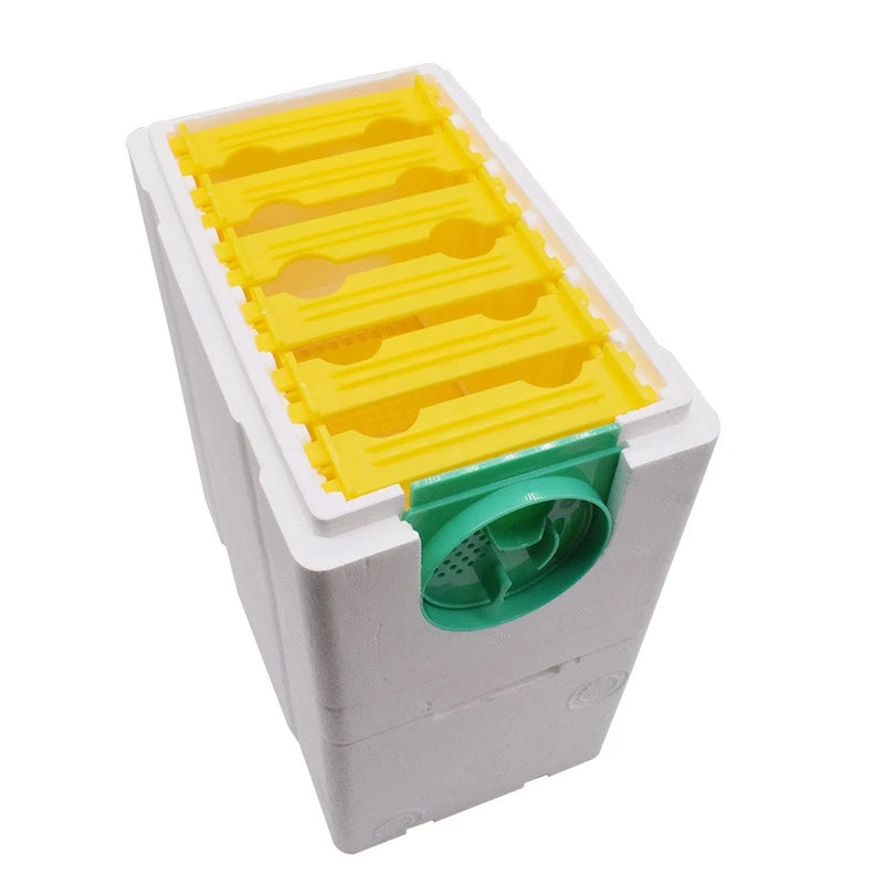 Honey Beehive Frames Beekeeping Box Bee Hive King Pollination Box Bee Mating Copulation Box Beekeeping Equipment