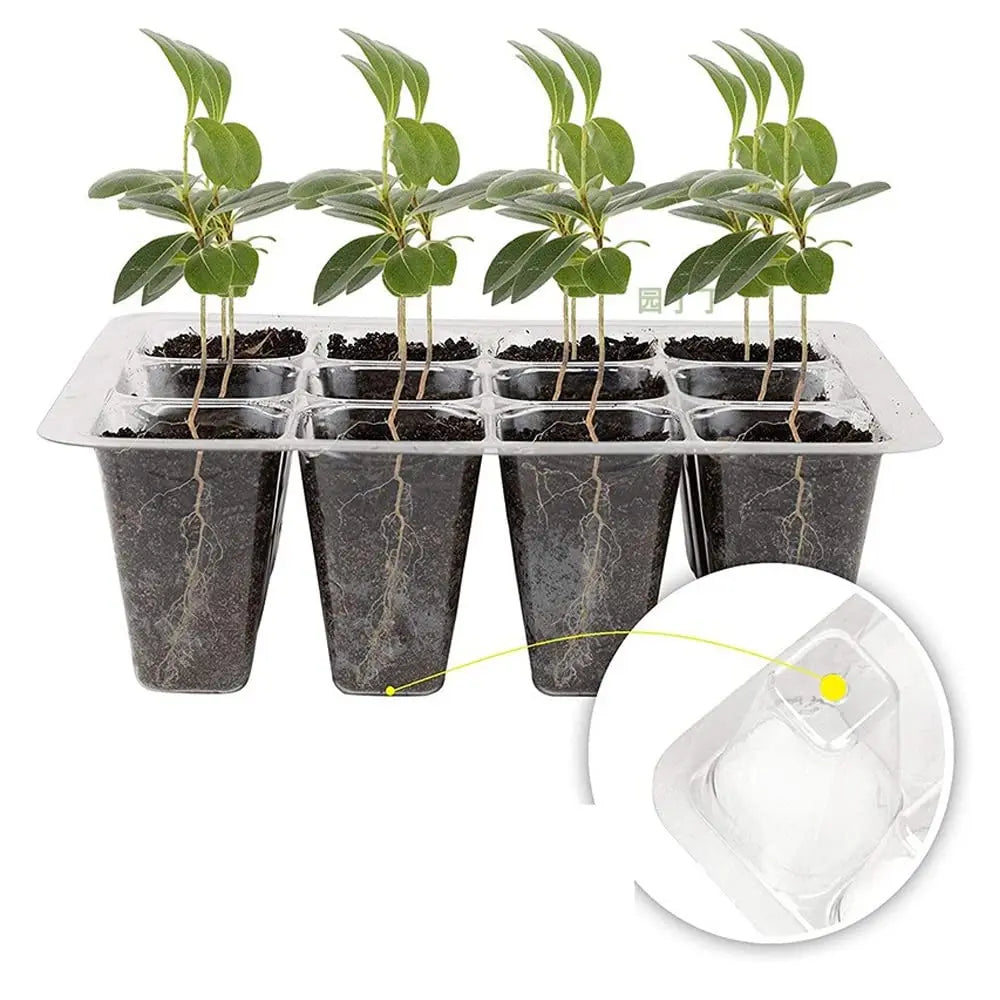 Seed Starter Tray Plant Starter Kit and Base Mini Greenhouse Germination Kit for Seeds Growing Starting