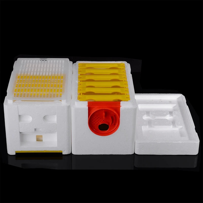 Honey Beehive Frames Beekeeping Box Bee Hive King Pollination Box Bee Mating Copulation Box Beekeeping Equipment