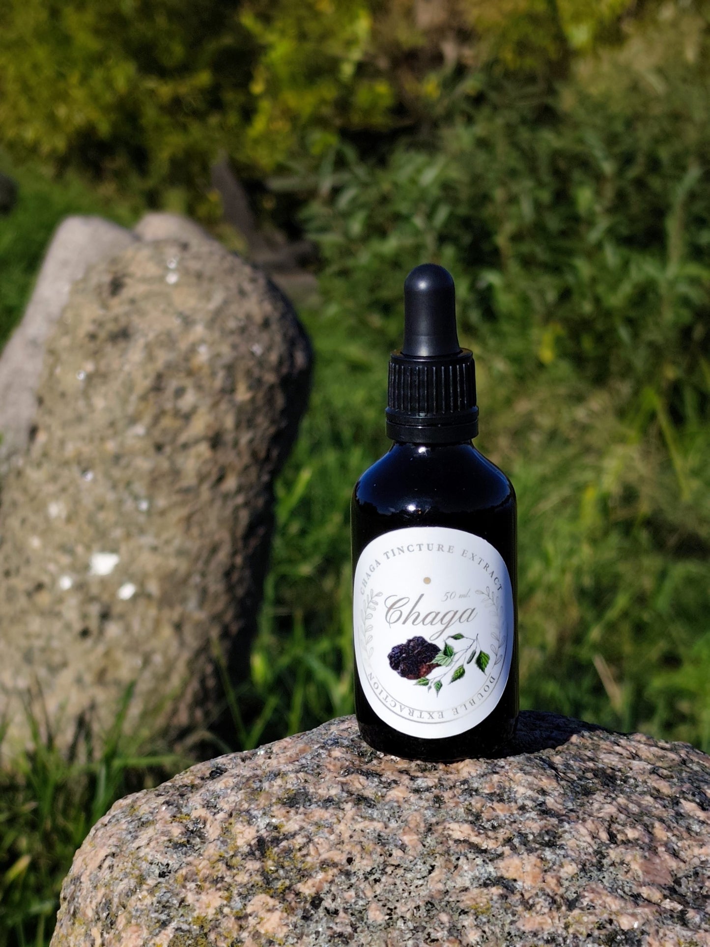 Chaga Tincture Extract – Double Extraction, 50ml.