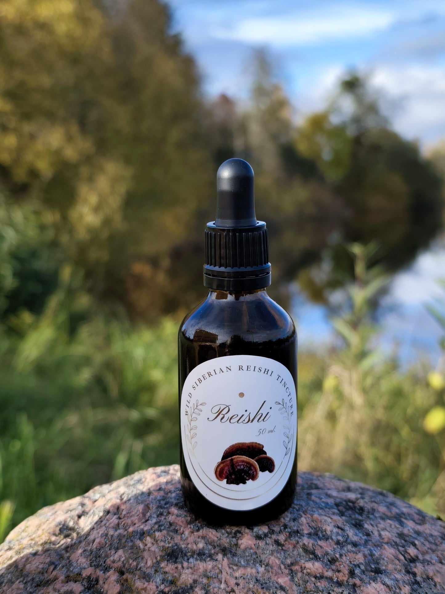 DOUBLE-EXTRACTED WILD SIBERIAN REISHI TINCTURE – 50ml.