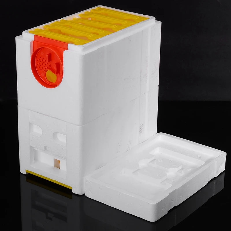 Honey Beehive Frames Beekeeping Box Bee Hive King Pollination Box Bee Mating Copulation Box Beekeeping Equipment