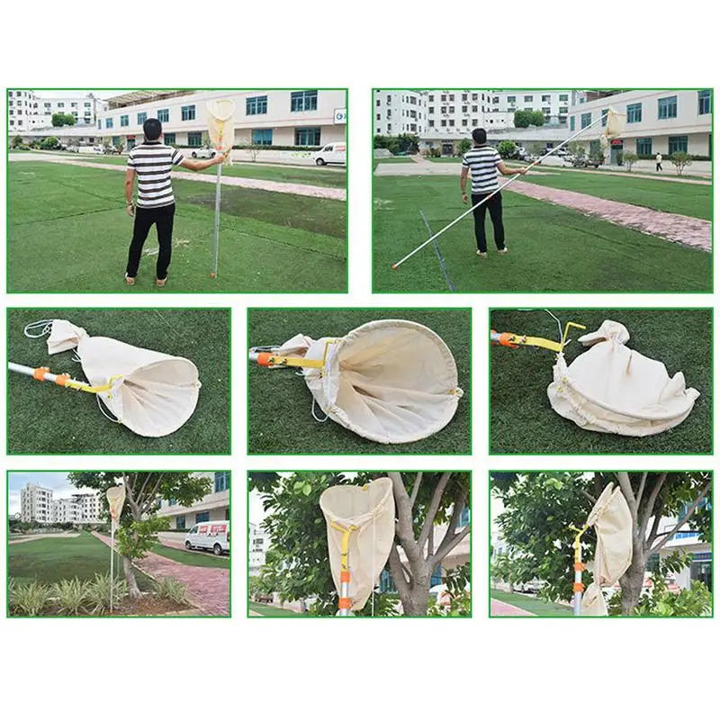 Bee Catcher Net Swarm Trap Bee Catcher Trap Portable Swarm Cage With Telescopic Pole Bee Recruit Tool For Beekeeping Supplies