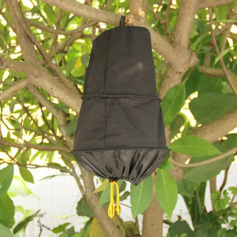 Wild Bee Recruit Cage 3 Layers Beekeeping Bee Cage Catcher Catching Tool Wild Bee Catching Cage Beekeeping Catching Tool