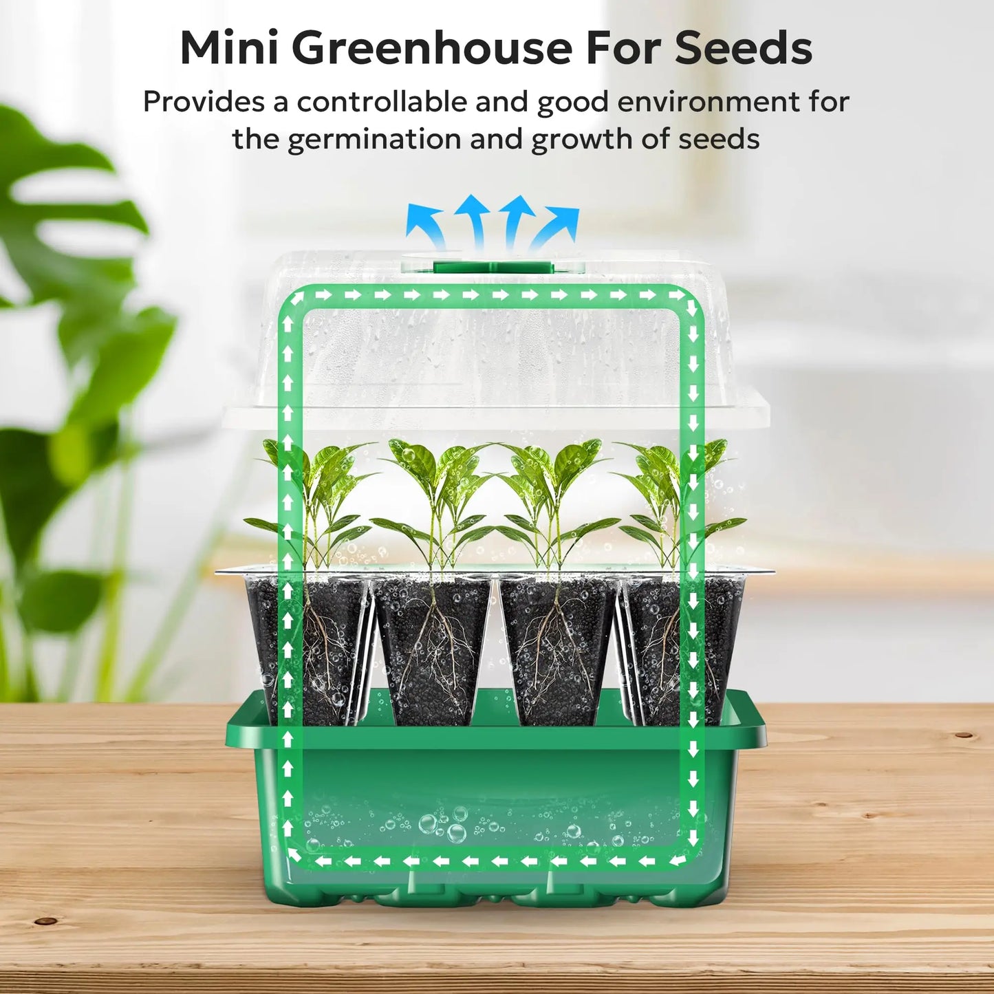 Seed Starter Tray Plant Starter Kit and Base Mini Greenhouse Germination Kit for Seeds Growing Starting