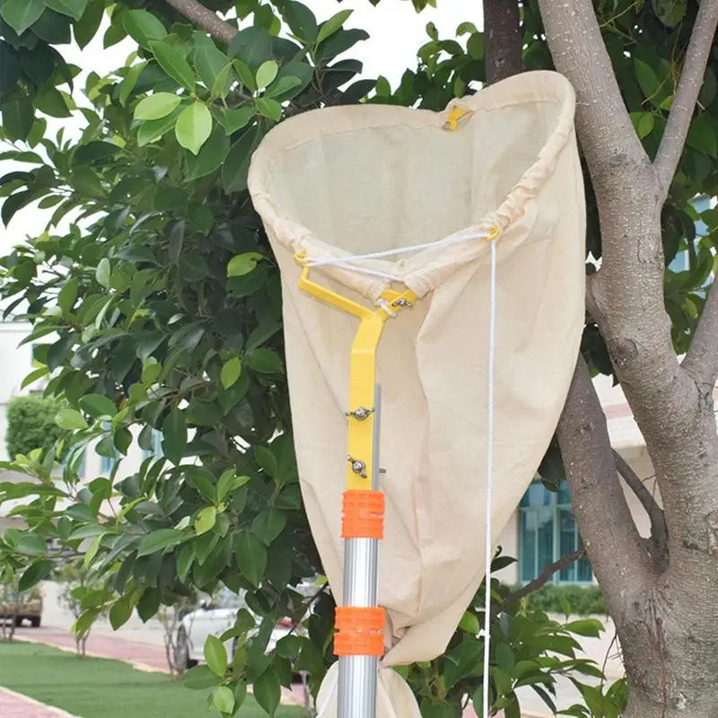 Bee Catcher Net Swarm Trap Bee Catcher Trap Portable Swarm Cage With Telescopic Pole Bee Recruit Tool For Beekeeping Supplies