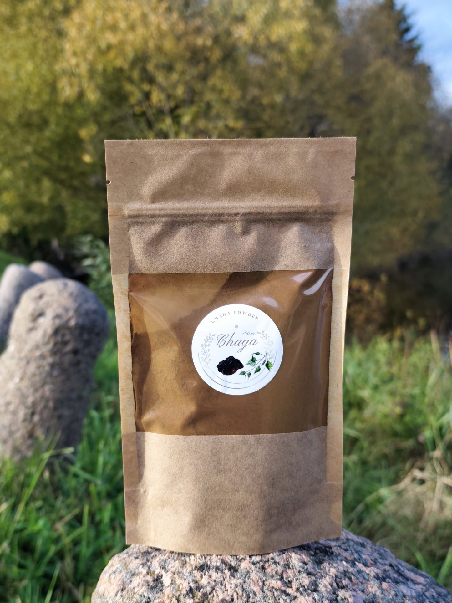 CHAGA MUSHROOM POWDER – 100Gr