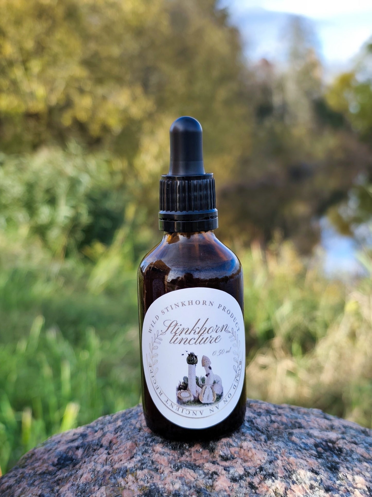 Wild Stinkhorn Tincture – 50ml.